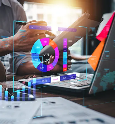 Comprehensive website auditing applications